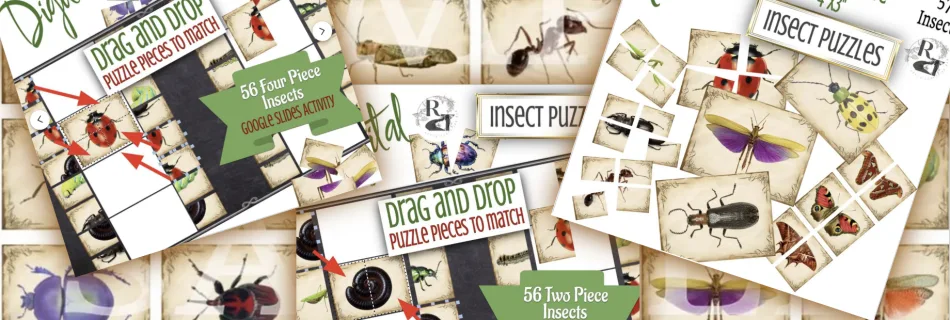 Outdoor Education Drag and Drop and Printable Insect Task Cards and Puzzles. Forest Education, Montessori